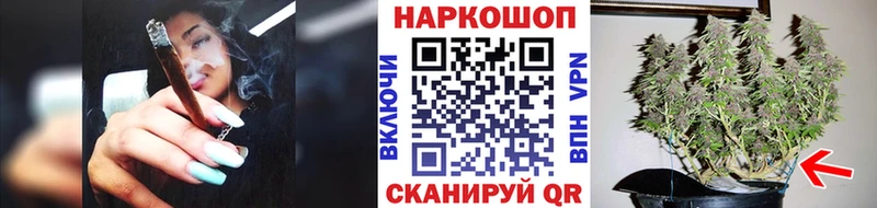 Где найти наркотики Старица hydra ССЫЛКА Alpha-PVP Метадон АМФЕТАМИН Cocaine МЕФ Бошки Шишки