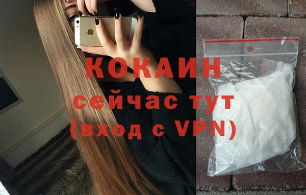 молекула духа Заволжье