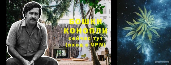 молекула духа Заволжье