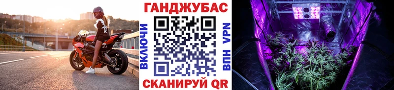 Каннабис план  Старица 